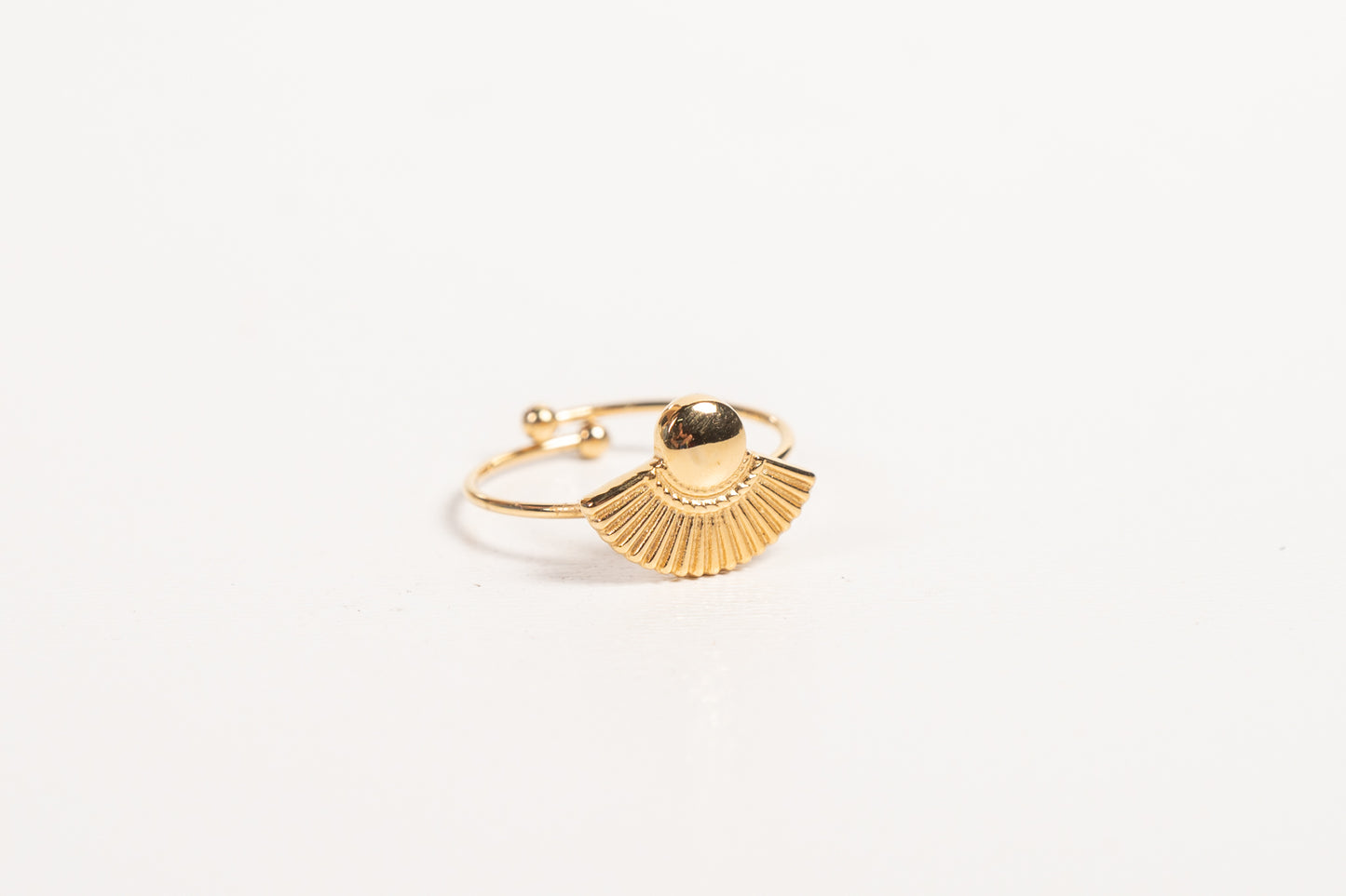 Anillo AN19
