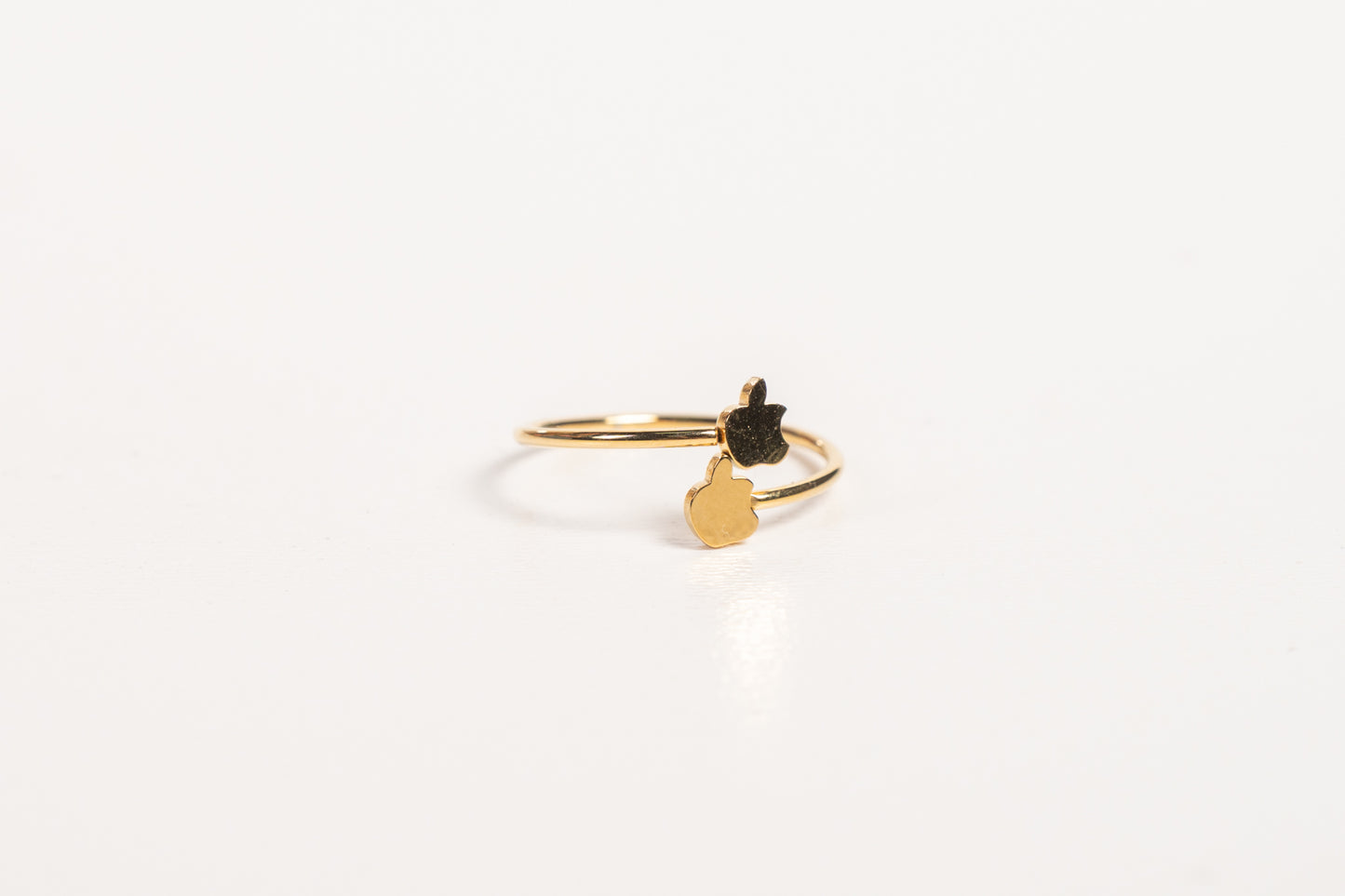 Anillo AN33