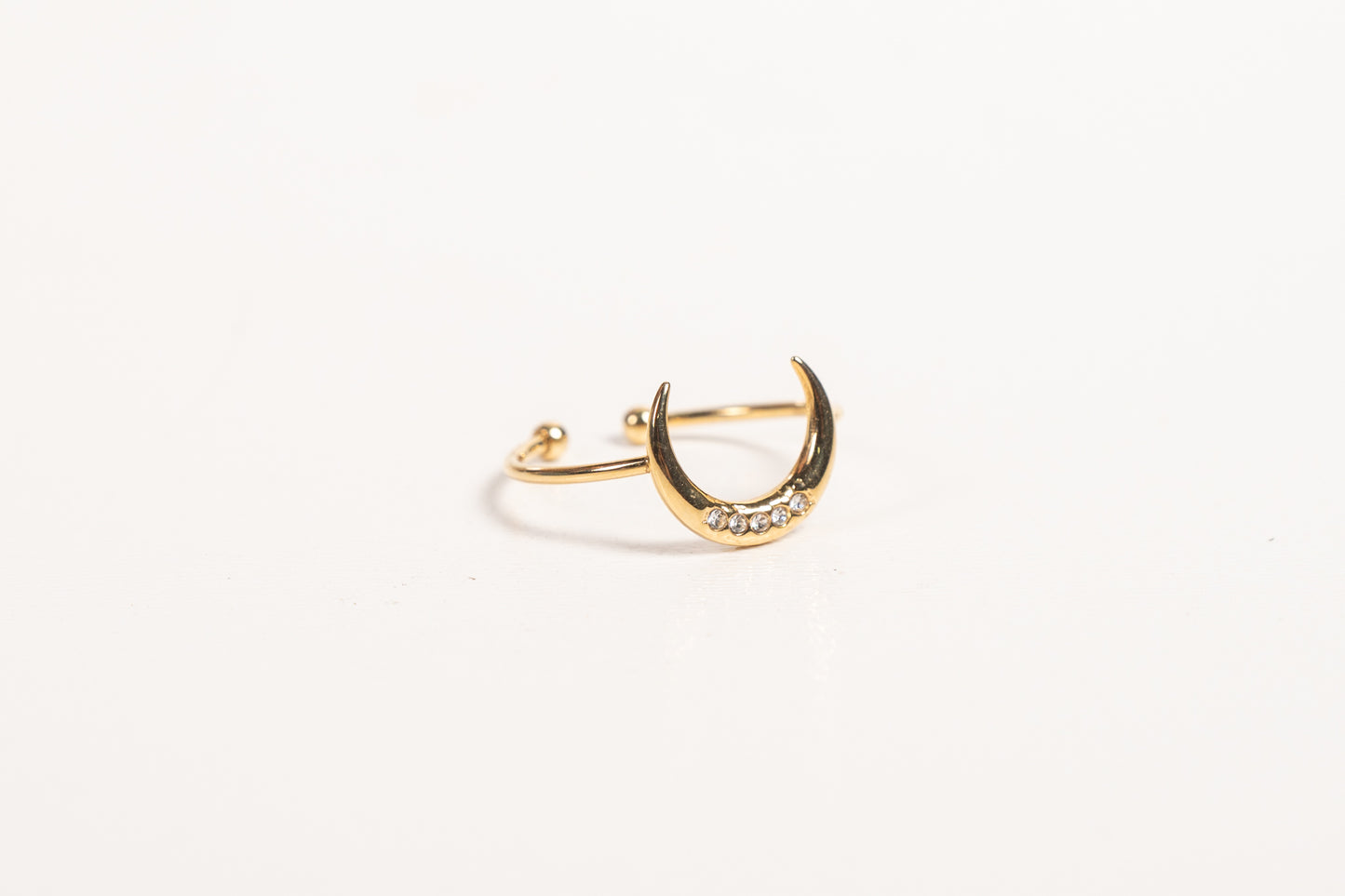 Anillo AN21