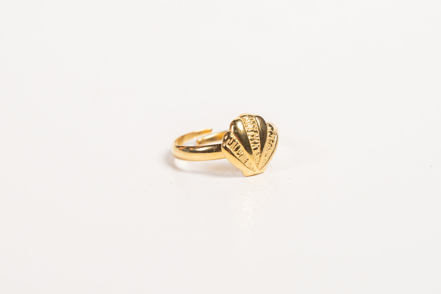 Anillo AN20