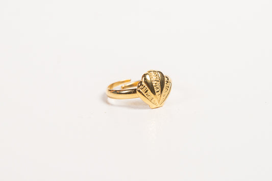 Anillo AN20