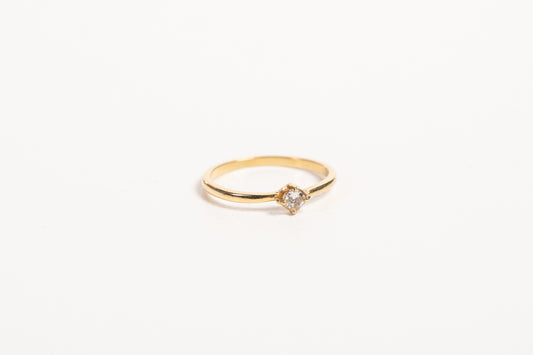 Anillo AN31