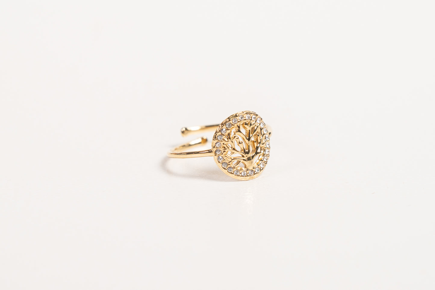 Anillo AN26