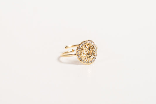 Anillo AN26
