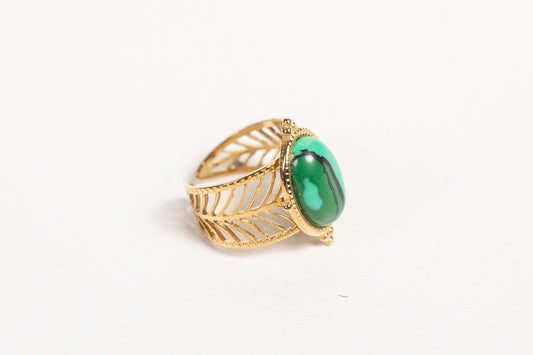 Anillo AN01