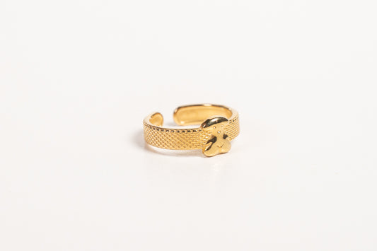 Anillo AN25