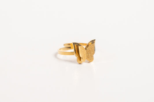 Anillo AN32
