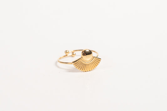 Anillo AN19