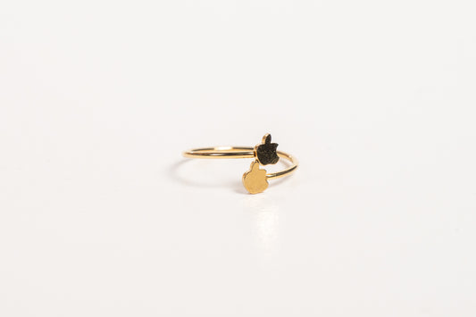 Anillo AN33