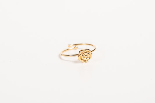 Anillo AN35
