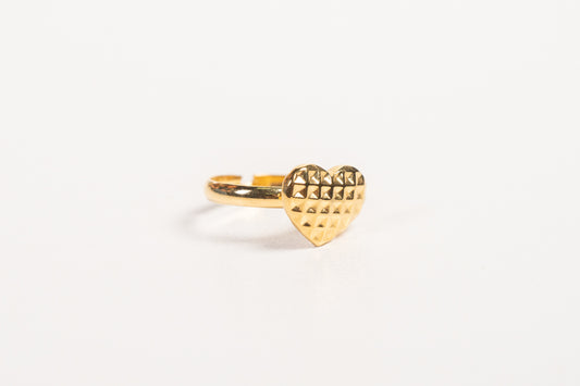 Anillo AN27