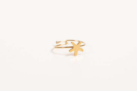 Anillo AN36