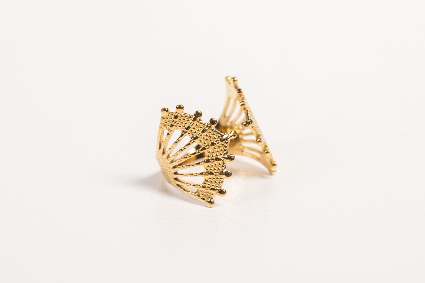 Anillo AN04