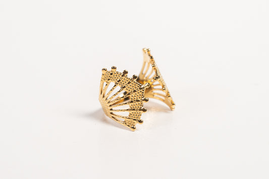 Anillo AN04