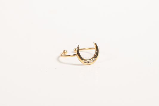Anillo AN21