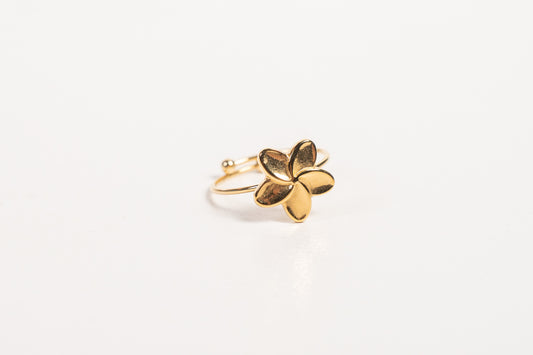 Anillo AN34
